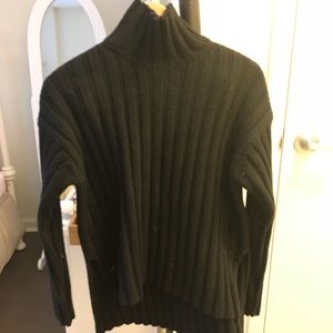 Everlane Wool-Cashmere Rib Oversized Turtleneck